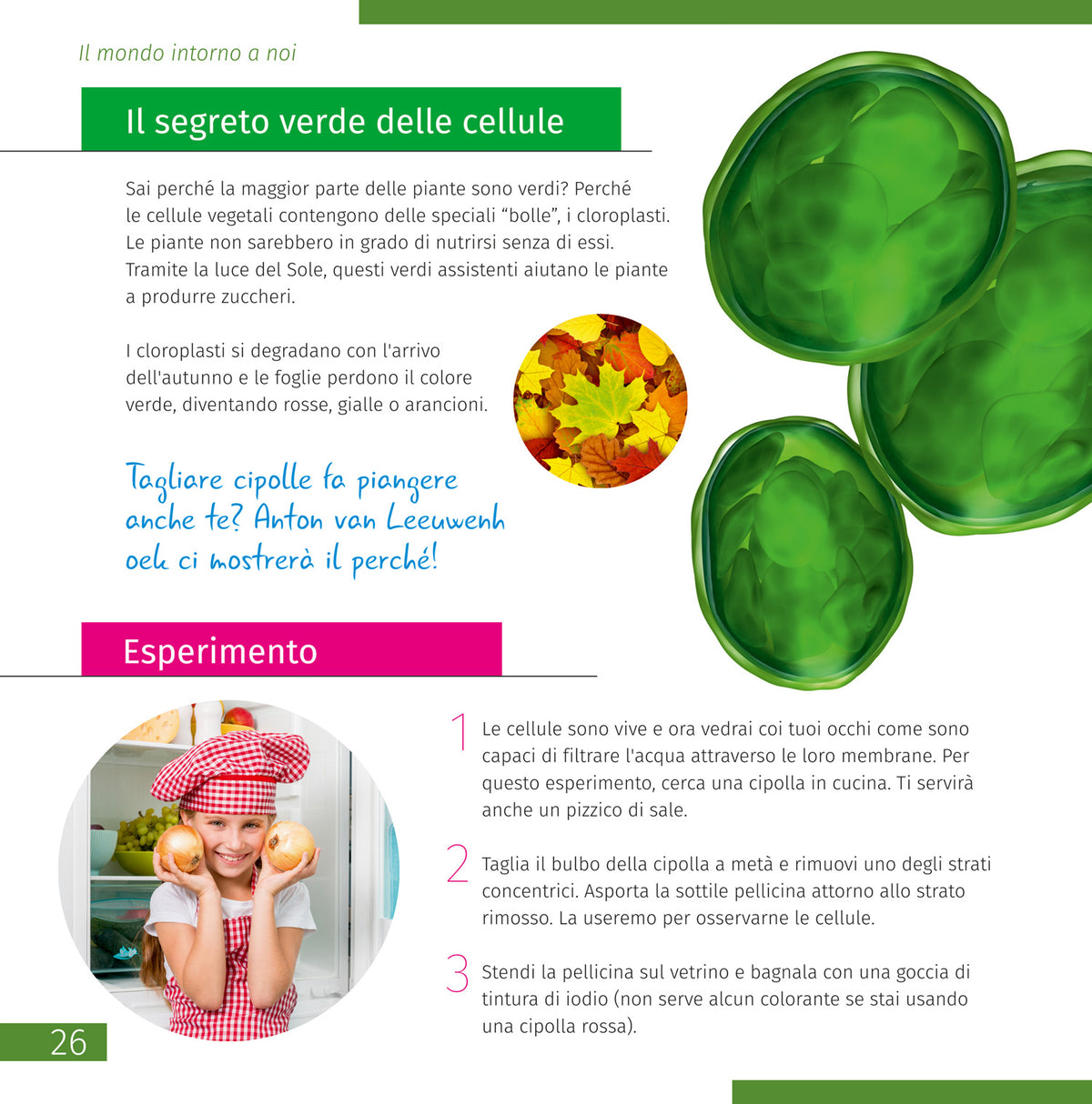 Spazio. Microcosmo. Libro educativo in 2 volumi, copertina rigida