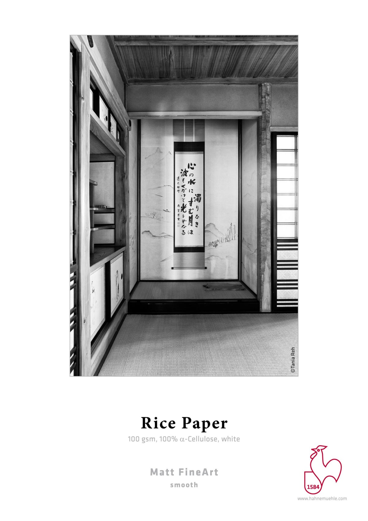 Hahnemuhle Rice Paper gr100  cm61x30m